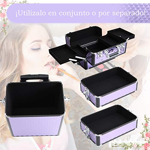HOMCOM Maletín de Maquillaje Profesional con Ruedas Universales Distintos Niveles Asa Extensible Maletín Maquillaje Trolley Aleación de Aluminio 33.5x23x76/95.5 cm Violeta HOMCOM Maletín de Maquillaje Profesional con Ruedas Universales Distintos Niveles Asa Extensible Maletín Maquillaje Trolley Aleación de Aluminio 33.5x23x76/95.5 cm Violeta