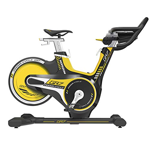 Horizon Fitness Indoor Cycle GR7 - Bicicleta estática
