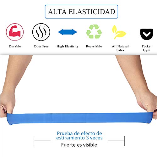 HOTSO 5 Bandas Elásticas de Resistencia + 2 Unidades Discos Deslizantes Fitness de Doble Cara, Equipos de Entrenamiento Ejercicios Deporte Musculación Pilates Gimnasio Workout Apto en Casa, Gimnasio