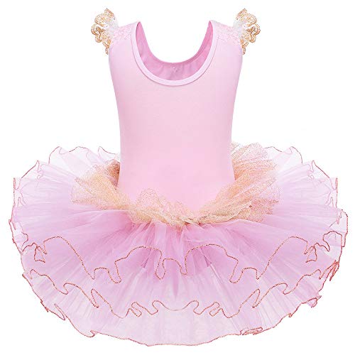 HUAANIUE Princesa Vestido de La Elegancia de La Danza del Tutú del Ballet Clásico de Encaje HUAANIUE Princesa Vestido de La Elegancia de La Danza del Tutú del Ballet Clásico de Encaje