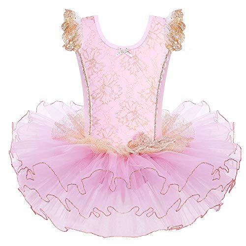 HUAANIUE Princesa Vestido de La Elegancia de La Danza del Tutú del Ballet Clásico de Encaje HUAANIUE Princesa Vestido de La Elegancia de La Danza del Tutú del Ballet Clásico de Encaje