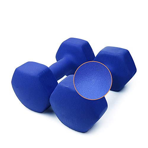 HUI JIN Peso de la mancuerna forma hexagonal y superficie antideslizante para evitar que las mancuernas rueden cuando se dejan en una superficie plana, 0,5 kg, 1 unidad HUI JIN Peso de la mancuerna forma hexagonal y superficie antideslizante para evitar que las mancuernas rueden cuando se dejan en una superficie plana, 0,5 kg, 1 unidad