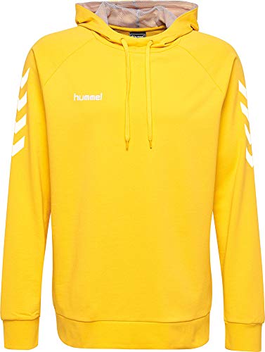 Hummel Hmlgo - Sudadera con Capucha Unisex para niños, Unisex niños, Sudadera con Capucha, 203509-5001, Amarillo Deportivo., 152