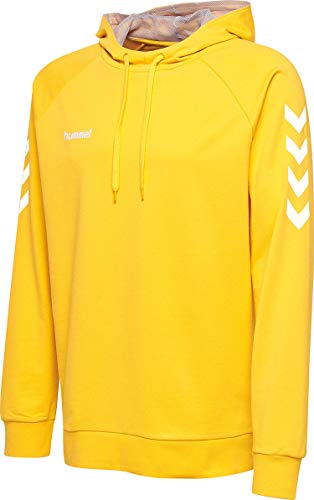 Hummel Hmlgo - Sudadera con Capucha Unisex para niños, Unisex niños, Sudadera con Capucha, 203509-5001, Amarillo Deportivo., 152