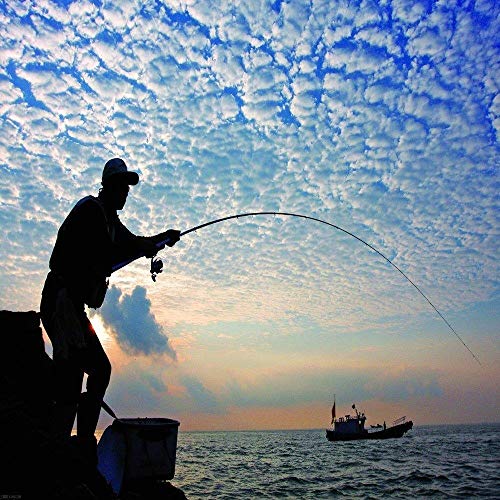 HXF- GuĆa de Pesca a tiros LĆnea Larga Varilla Redonda Grande AF8000 Spinning Wheel Carrete de Pesca Pesca en mar Carrete de la Pesca del Carrete de Anclaje Precisión HXF- GuĆa de Pesca a tiros LĆnea Larga Varilla Redonda Grande AF8000 Spinning Wheel Carrete de Pesca Pesca en mar Carrete de la Pesca del Carrete de Anclaje Precisión
