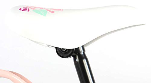 .Ibiza Bicicleta Niña 18 Pulgadas Freno Delantero al Manillar y Trasero Contropedal Portabultos Azul Rosa 95% Montado