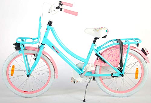 .Ibiza Bicicleta Niña 20 Pulgadas Freno Delantero al Manillar y Trasero Contropedal Portabultos Azul Rosa 95% Montado