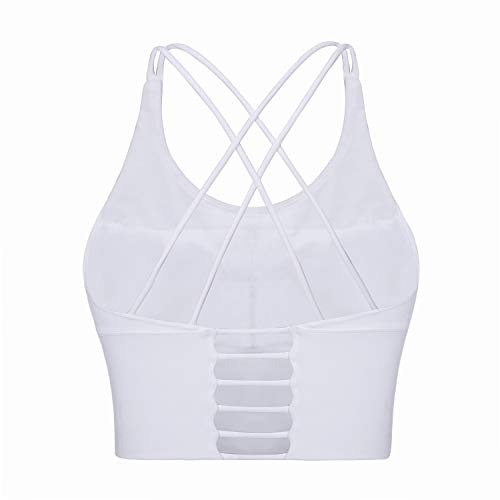 iClosam Sujetador Deportivo Mujer,Bra Deporte Cruzados Espalda Sin Costuras Suave y Sexy para Yoga Fitness Run Ejercicio USA de Diaria iClosam Sujetador Deportivo Mujer,Bra Deporte Cruzados Espalda Sin Costuras Suave y Sexy para Yoga Fitness Run Ejercicio USA de Diaria