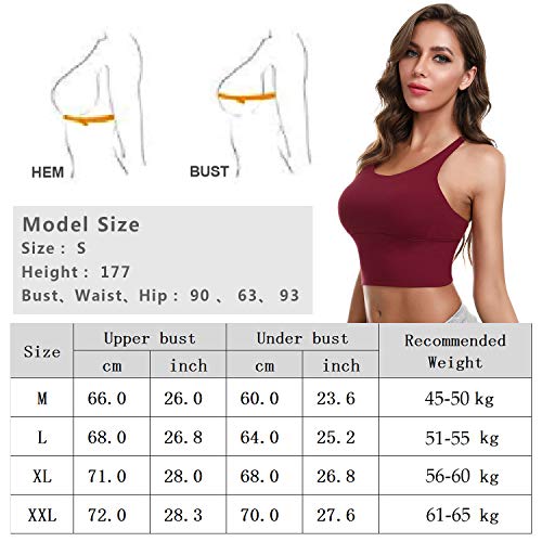 iClosam Sujetador Deportivo Mujer,Bra Deporte Cruzados Espalda Sin Costuras Suave y Sexy para Yoga Fitness Run Ejercicio USA de Diaria iClosam Sujetador Deportivo Mujer,Bra Deporte Cruzados Espalda Sin Costuras Suave y Sexy para Yoga Fitness Run Ejercicio USA de Diaria