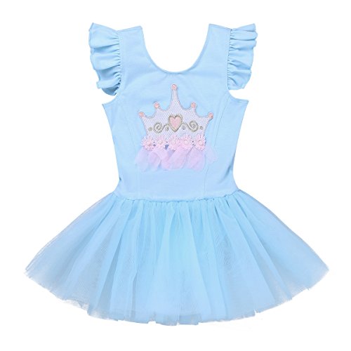 IEFIEL Vestido de Danza Niña Maillot Ballet con Tutú Falda de Princesa para Actuación Fiesta Competicion Azul Cielo 3-4 años IEFIEL Vestido de Danza Niña Maillot Ballet con Tutú Falda de Princesa para Actuación Fiesta Competicion Azul Cielo 3-4 años