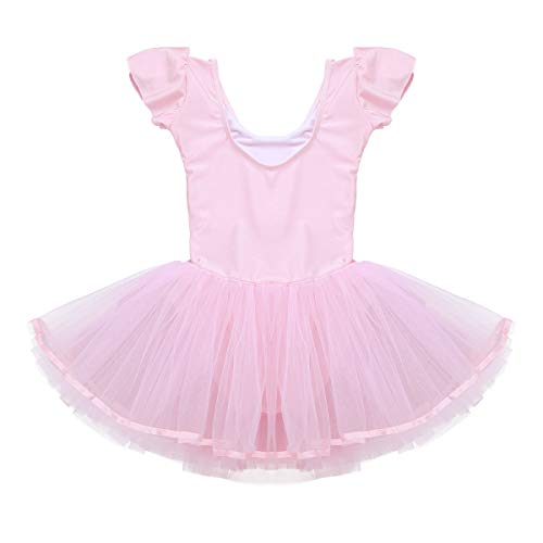 IEFIEL Vestido Maillot Tutú de Ballet Danza para Niñas Ropa de Bailarina Disfraz de Princesa Fiesta Carnaval Rosa 3-4 años IEFIEL Vestido Maillot Tutú de Ballet Danza para Niñas Ropa de Bailarina Disfraz de Princesa Fiesta Carnaval Rosa 3-4 años