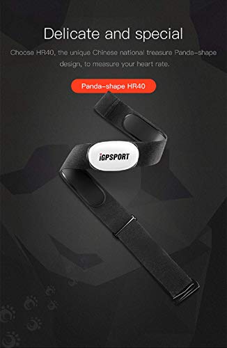 iGPSPORT HR40 Monitor Sensor de Frecuencia Cardíaca Correa para el pecho Bluetooth y ANT + para Correr Ciclismo Gimnasio