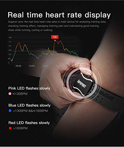 iGPSPORT HR60 pulsómetros Brazalete Compatible con Ant+ y Bluetooth Impermeable IPX7 Sensor Óptico de Frecuencia Cardíaca iGPSPORT HR60 pulsómetros Brazalete Compatible con Ant+ y Bluetooth Impermeable IPX7 Sensor Óptico de Frecuencia Cardíaca
