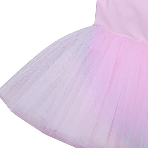 iiniim Vestido Maillot Clásico de Ballet Danza Elegante Traje Infantil de Baile Leotardo Princesa Tutú Flor con Falda de Tul Bragas Interior de Algodón para Niña Chica (2-10 Años) Rosa 2-3 años