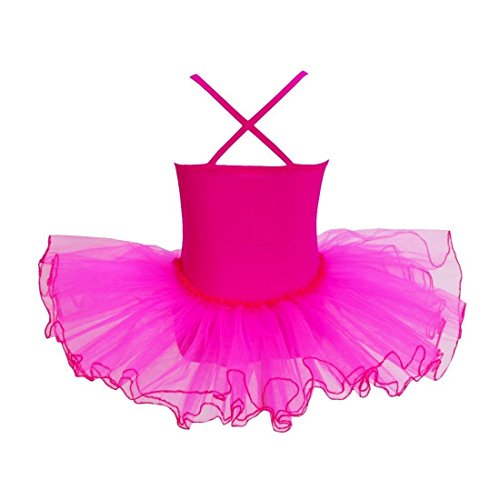 iMixCity Baile de Ballet Jersey Camiseta de Niña Maillot Traje de Ballet Leotardo Princess Girls Vestido de Pantera Falda de Tul Traje de Carnaval (Edad: 3-10 Años) (110 (3-4 Años), Rosa roja)