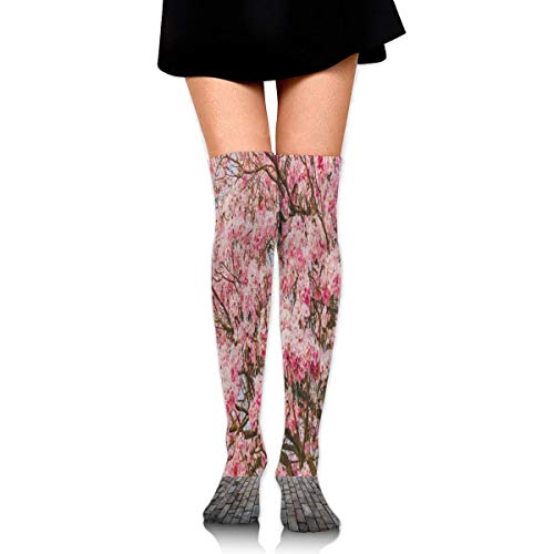 imndjz Stretch Stocking Old Stone Floor Pink Cherry Blossom Sprint Soccer Socks Over The Knee Stocking Designer Running