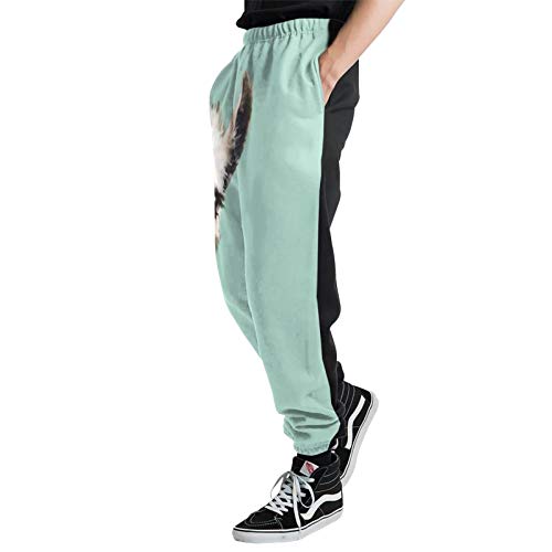 Inaayayi Bubble Gum Sneaky Llama en color verde Novedad Impresión 3D Deportes Jogger Pantalones Chándal Pantalones de Hip Hop Pantalones para Hombres Mujeres