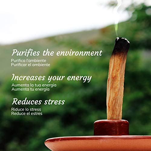 Incienso Natural Palo Santo - Madera Sagrada - Palitos Variedad Popular Ayabaca - 14 Palitos - Aroma para Yoga, meditación, relajación, espiritualidad, Viaje Interior Incienso Natural Palo Santo - Madera Sagrada - Palitos Variedad Popular Ayabaca - 14 Palitos - Aroma para Yoga, meditación, relajación, espiritualidad, Viaje Interior