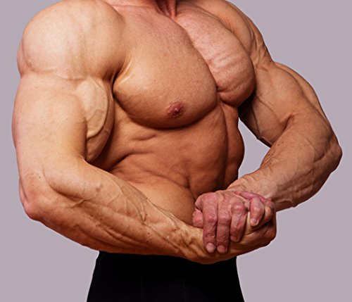 Increase Muscle Growth Hypnosis CD - bodybuilding and building muscle starts in your mind. Arnold Schwarzenegger new it and the professionals do to. Add this hypnotherapy recording to your protein, creatine and other supplements! by Mark Bowden MSc BSc Di