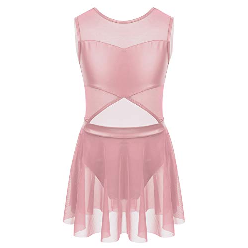 inhzoy Maillot de Danza Ballet para Niña Chica Vestido Hollow Malla de Gimnaisa Rítmica Patinaje Artístico Traje de Bailarina Brillante Leotardo con Falda Rosa 4 Años inhzoy Maillot de Danza Ballet para Niña Chica Vestido Hollow Malla de Gimnaisa Rítmica Patinaje Artístico Traje de Bailarina Brillante Leotardo con Falda Rosa 4 Años