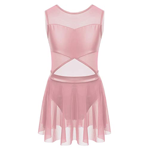 inhzoy Maillot de Danza Ballet para Niña Chica Vestido Hollow Malla de Gimnaisa Rítmica Patinaje Artístico Traje de Bailarina Brillante Leotardo con Falda Rosa 4 Años