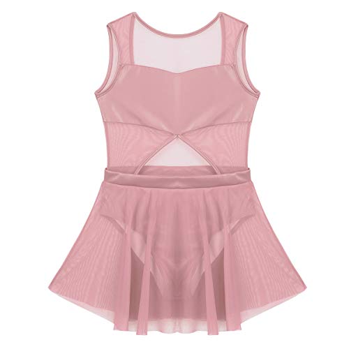 inhzoy Maillot de Danza Ballet para Niña Chica Vestido Hollow Malla de Gimnaisa Rítmica Patinaje Artístico Traje de Bailarina Brillante Leotardo con Falda Rosa 4 Años inhzoy Maillot de Danza Ballet para Niña Chica Vestido Hollow Malla de Gimnaisa Rítmica Patinaje Artístico Traje de Bailarina Brillante Leotardo con Falda Rosa 4 Años