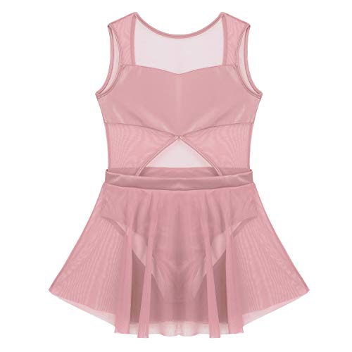 inhzoy Maillot de Danza Ballet para Niña Chica Vestido Hollow Malla de Gimnaisa Rítmica Patinaje Artístico Traje de Bailarina Brillante Leotardo con Falda Rosa 4 Años