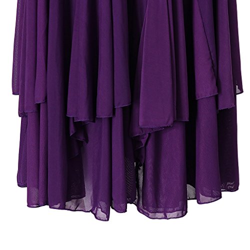 IPOTCH Falda Larga para Mujer, Diseño de Cuadrado Malla para Baile Tango Flamenco Latín, Opción para Bailarinas - Púrpura, Único IPOTCH Falda Larga para Mujer, Diseño de Cuadrado Malla para Baile Tango Flamenco Latín, Opción para Bailarinas - Púrpura, Único