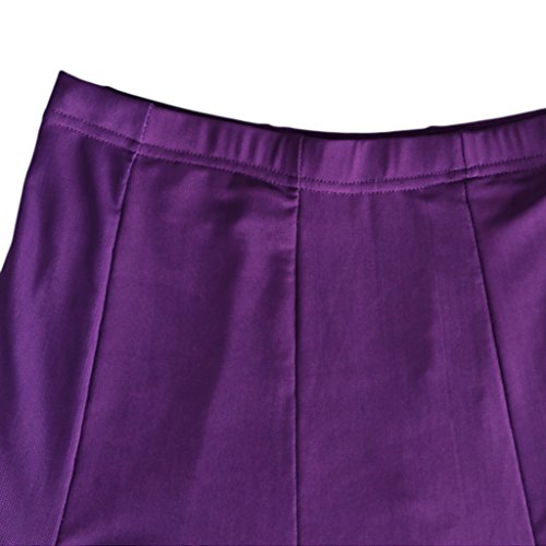 IPOTCH Falda Larga para Mujer, Diseño de Cuadrado Malla para Baile Tango Flamenco Latín, Opción para Bailarinas - Púrpura, Único IPOTCH Falda Larga para Mujer, Diseño de Cuadrado Malla para Baile Tango Flamenco Latín, Opción para Bailarinas - Púrpura, Único