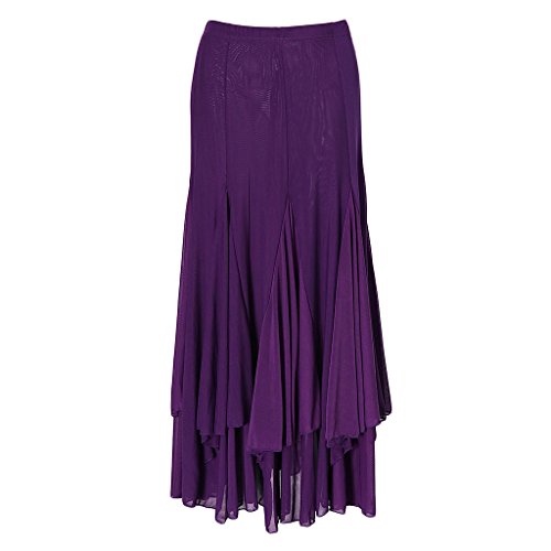 IPOTCH Falda Larga para Mujer, Diseño de Cuadrado Malla para Baile Tango Flamenco Latín, Opción para Bailarinas - Púrpura, Único IPOTCH Falda Larga para Mujer, Diseño de Cuadrado Malla para Baile Tango Flamenco Latín, Opción para Bailarinas - Púrpura, Único