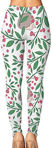 Irener Leggings de Entrenamiento Deportivo con pantalón de Yoga Twigs Berries Hedgehog High Waist Tummy Control Womens Yoga Workout Pantsn