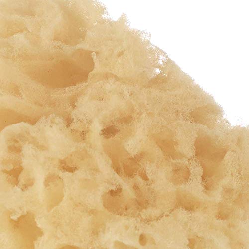 Jané Esponja Natural, 2 unidades, Suave, Especial Recién Nacido Jané Esponja Natural, 2 unidades, Suave, Especial Recién Nacido