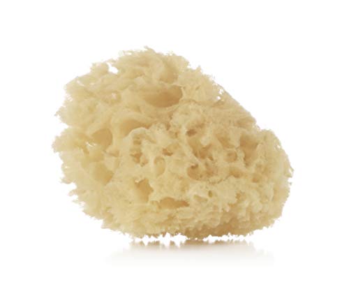 Jané Esponja Natural, 2 unidades, Suave, Especial Recién Nacido Jané Esponja Natural, 2 unidades, Suave, Especial Recién Nacido