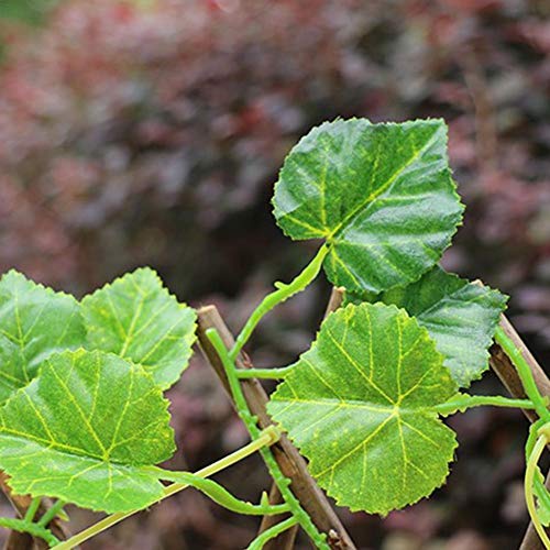 Jardín Artificial Cerca De La Planta, Enrejado para Varios Tamaños Valla De Protección UV Esgrima Retráctil Planta De Vid Valla Colgante por Un Partido De La Boda De La Pared del Jardín Reataurant