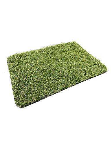 Jardin202 Rollo: 2x4 Metros - Césped Artificial Terraza Plus 22mm - Rollo Jardin202 Rollo: 2x4 Metros - Césped Artificial Terraza Plus 22mm - Rollo