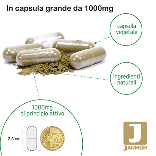 J.ARMOR Suplemento termogénico quemagrasas adelgazante ácido alfa lipoico carnitina 100 cápsulas