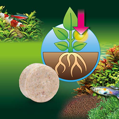 JBL Fertilizante FerropolTabs 2020000 para acuarios de Agua Dulce, 30 Pastillas JBL Fertilizante FerropolTabs 2020000 para acuarios de Agua Dulce, 30 Pastillas