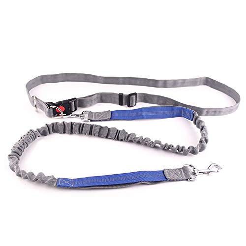 JinEamy-es Perro de mascota estiramiento de la cinta andadora de tracción de la cuerda del perro fijó la cuerda de tracción cuerda cuello de la correa de mascotas accesorios del perro de perrito de tr JinEamy-es Perro de mascota estiramiento de la cinta andadora de tracción de la cuerda del perro fijó la cuerda de tracción cuerda cuello de la correa de mascotas accesorios del perro de perrito de tr