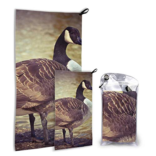 JOCHUAN Goose Animal Bird Aves de Corral Greylag Goose Gander 2 Pack Microfibra Ligero Toalla de Playa Juego de Toallas Suaves Secado rápido Lo Mejor para el Gimnasio Viaje Mochilero Yoga Fitnes