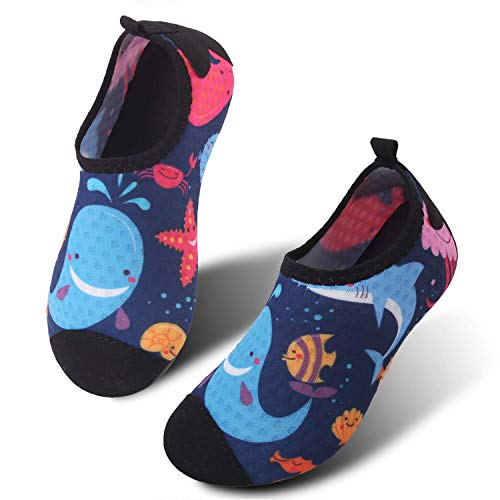 JOINFREE Zapatos de Calcetines con diseño de delfín de Dibujos Animados para niños Zapatos para Caminar Ligeros Suaves Zapatos de Playa Aqua Swim, 18-37 EU