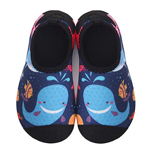 JOINFREE Zapatos de Calcetines con diseño de delfín de Dibujos Animados para niños Zapatos para Caminar Ligeros Suaves Zapatos de Playa Aqua Swim, 18-37 EU