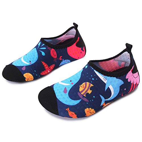 JOINFREE Zapatos de Calcetines con diseño de delfín de Dibujos Animados para niños Zapatos para Caminar Ligeros Suaves Zapatos de Playa Aqua Swim, 18-37 EU