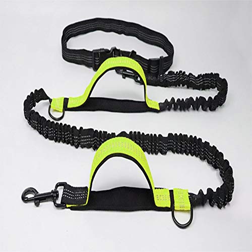 Jsdoin - Cinturón de perro con manos libres para correr, correr o caminar, reflectante con bolsa integrada de hasta 100 kg, muy adecuado para manos libres, correr o caminar, verde fluorescente