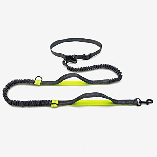 Jsdoin - Cinturón de perro con manos libres para correr, correr o caminar, reflectante con bolsa integrada de hasta 100 kg, muy adecuado para manos libres, correr o caminar, verde fluorescente