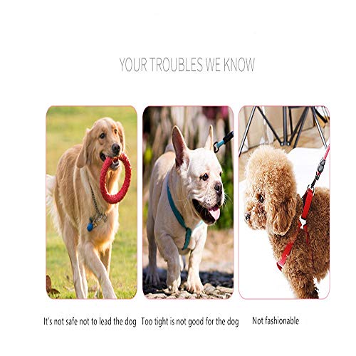 Jsdoin - Cinturón de perro con manos libres para correr, correr o caminar, reflectante con bolsa integrada de hasta 100 kg, muy adecuado para manos libres, correr o caminar, verde fluorescente Jsdoin - Cinturón de perro con manos libres para correr, correr o caminar, reflectante con bolsa integrada de hasta 100 kg, muy adecuado para manos libres, correr o caminar, verde fluorescente