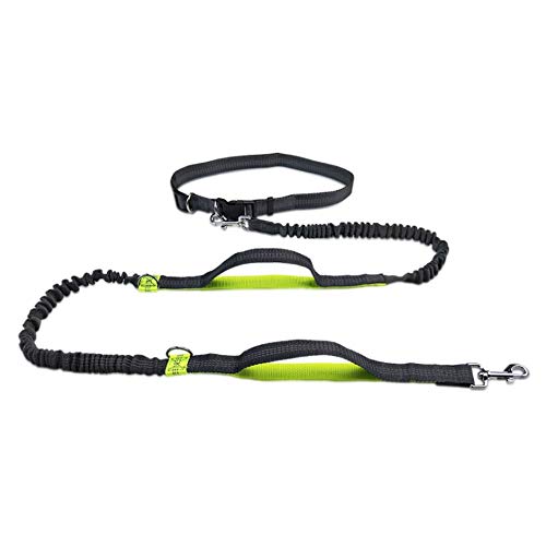 Jsdoin - Cinturón de perro con manos libres para correr, correr o caminar, reflectante con bolsa integrada de hasta 100 kg, muy adecuado para manos libres, correr o caminar, verde fluorescente Jsdoin - Cinturón de perro con manos libres para correr, correr o caminar, reflectante con bolsa integrada de hasta 100 kg, muy adecuado para manos libres, correr o caminar, verde fluorescente
