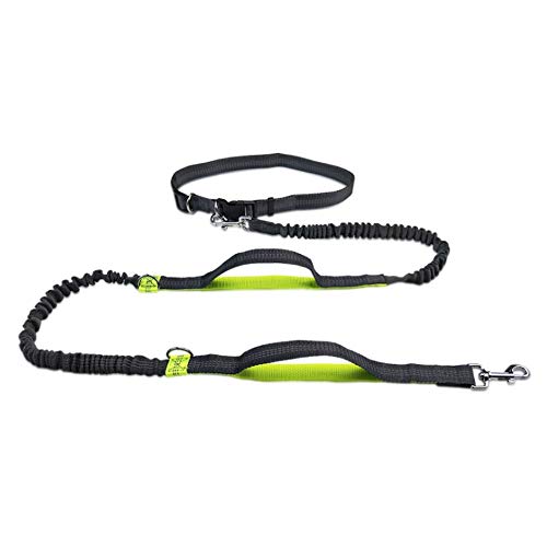 Jsdoin - Cinturón de perro con manos libres para correr, correr o caminar, reflectante con bolsa integrada de hasta 100 kg, muy adecuado para manos libres, correr o caminar, verde fluorescente