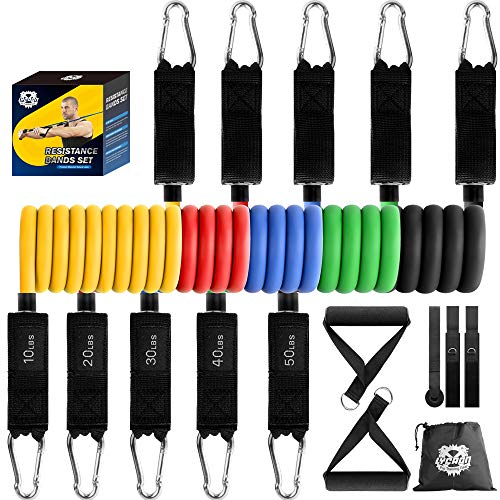 Juego de Bandas Elásticas de Resistencia, Hasta 150 lb, Bandas de Fitness con Asas, Correas de Tobillo y Anclaje para Puerta, Gomas Elásticas para Culturismo, Crossfit, Mujeres y Hombres (11 Pcs)