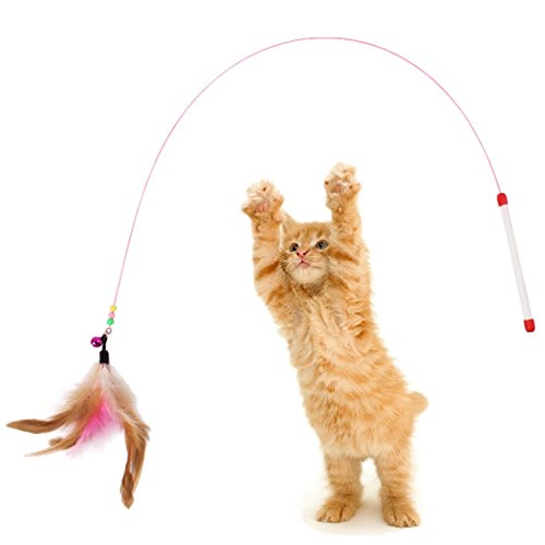 Juguetes para Gatos, 10 Piezas Juguete Interactivo para Gatos con Plumas para Kitty, mascotas juguetes, Juguete para Perros