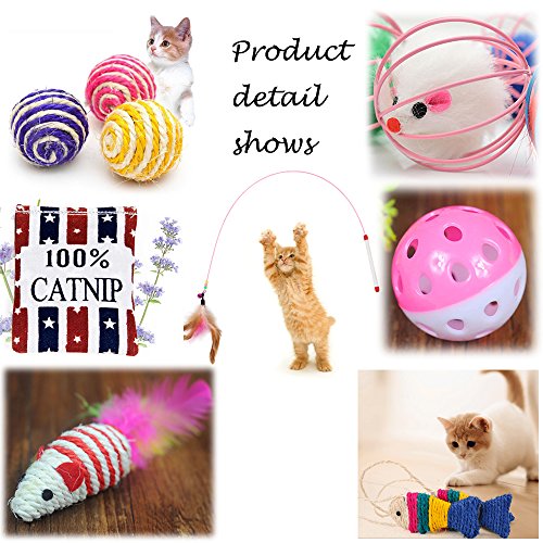 Juguetes para Gatos, 10 Piezas Juguete Interactivo para Gatos con Plumas para Kitty, mascotas juguetes, Juguete para Perros Juguetes para Gatos, 10 Piezas Juguete Interactivo para Gatos con Plumas para Kitty, mascotas juguetes, Juguete para Perros
